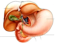 Safra Kesesi İltihabı Belirtileri ve Tedavisi Safra Kesesi İltihabı Belirtileri ve Tedavisi