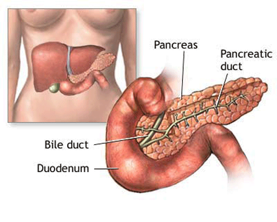 Pankreas ltihab
